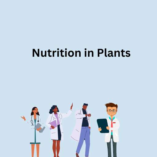 Nutrition in Plants